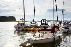 Bosman w porcie Hotelu Ognisty Ptak***