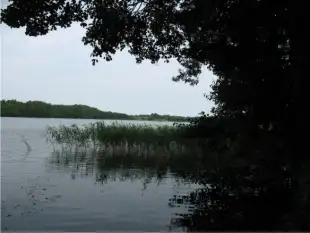 Działka z linią brzegową - zdjęcie 3