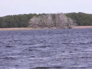 przyczepy kampingowe - zdjęcie 19