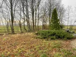 Urocze siedlisko na Mazurach! - zdjęcie 17