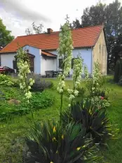 Urocze siedlisko na Mazurach! - zdjęcie 1