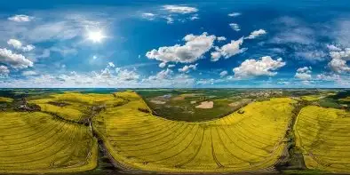 Rzepakowe pola, Reszel