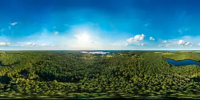 Puszcza Piska na początku września 2022 r.